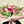 Bouquet of flowers of mix of flowers with rose, carnations and alstromelias