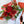 A collection of beautifully arranged floral bouquets with pink and red flowers, wrapped in matching red and white paper.