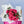 hot pink roses wrapped in craft paper 