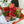 bouquet of red flowers 
