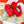 fresh ecuadorian one dozen red roses