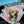 A collection of beautifully arranged floral bouquets with pink and white flowers, wrapped in matching pink and white paper.